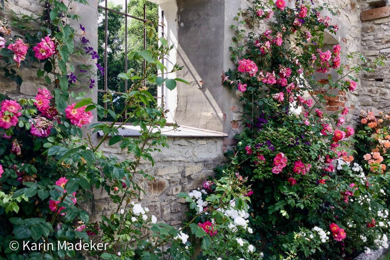 ולדקירכן Design Ferienwohnung Mit Bauerngarten מראה חיצוני תמונה